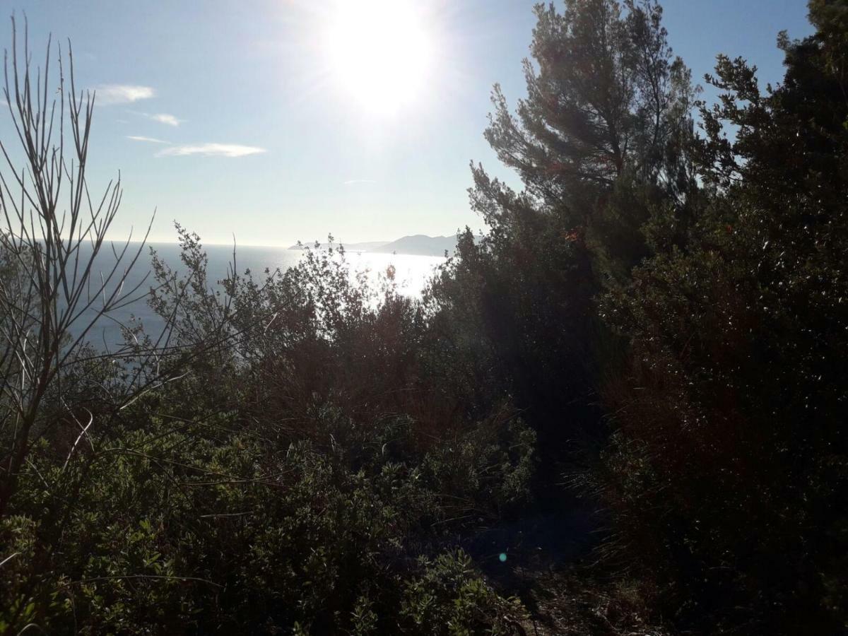 Apartment Aurora & Nicole Ideal Per Biker Con Terazza Vista Mare Parcheggio E Wi-Fi Gratuiti Pietra Ligure Eksteriør bilde